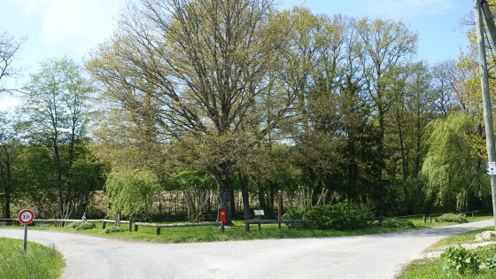 Aire du chene à Autrage