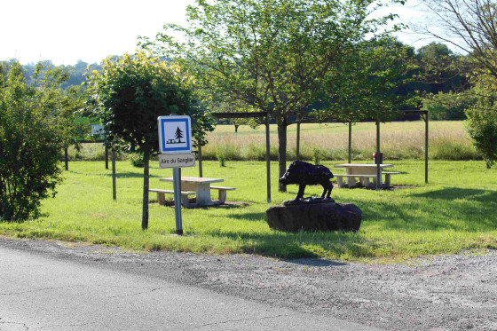 Aire du sanglier