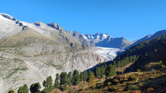 Aletschgletscher