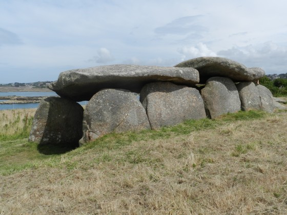 Allée couverte de l'île Milliau