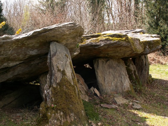 Allée couverte de Loch ar Ronfl