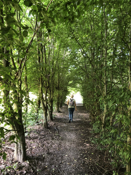 All&eacute;e couverte