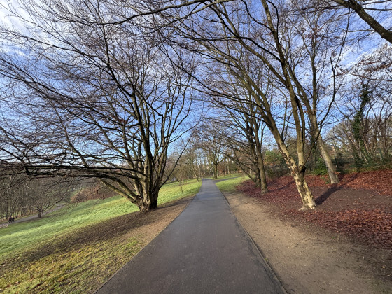 All&eacute;e dans le parc de Morbras