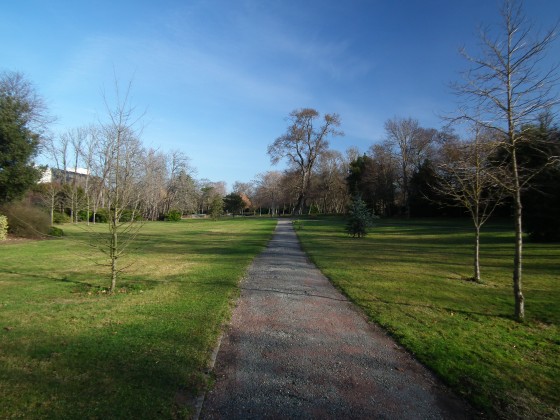 All&eacute;e dans les parcs