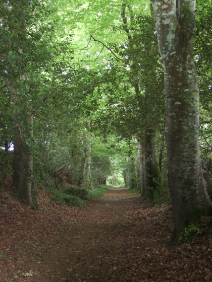 Allée de Kerayen