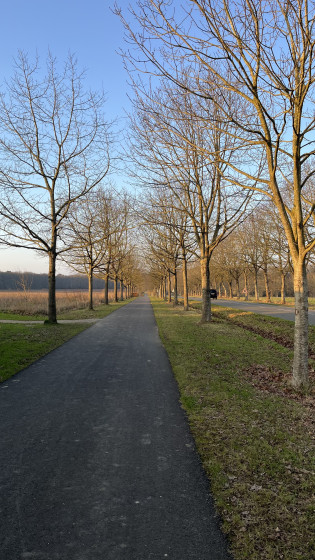 Allée de Kolbingen