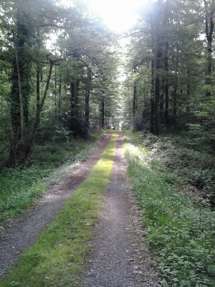 Allée de La Cornelière