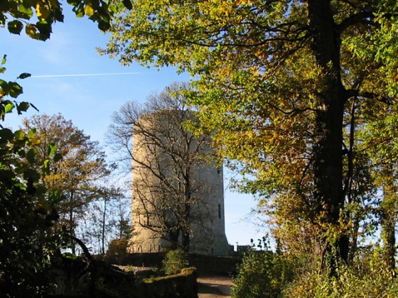 Allée de la Tour de Bridiers