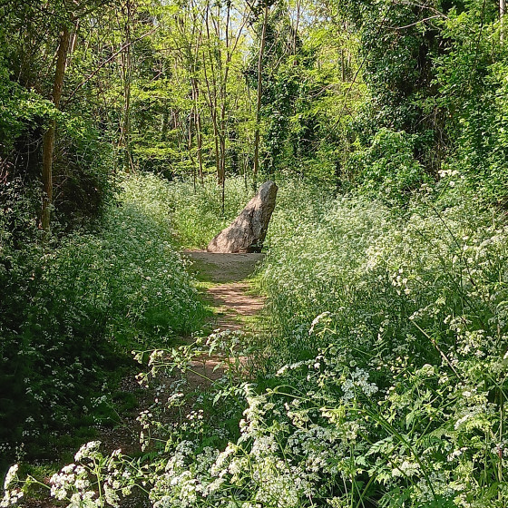All&eacute;e du Menhir