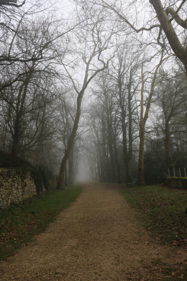 Allée du Parc à la Mothe Saint Héray