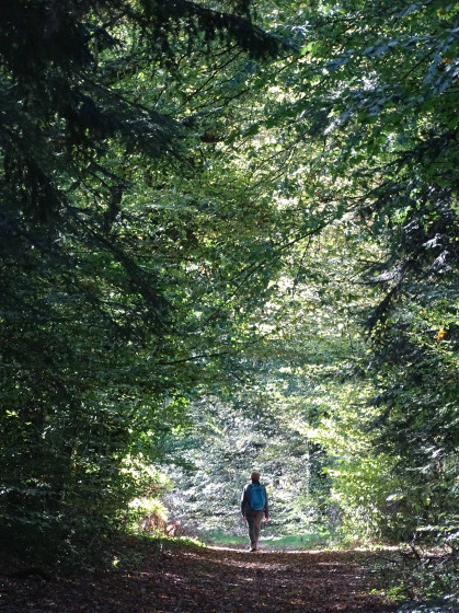 Allée du Ty Mat