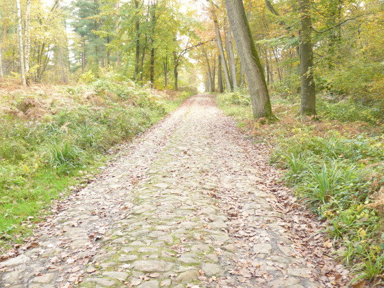 Allée pavée