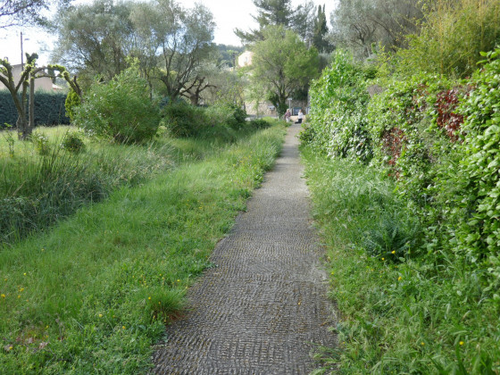 Allée piétonne