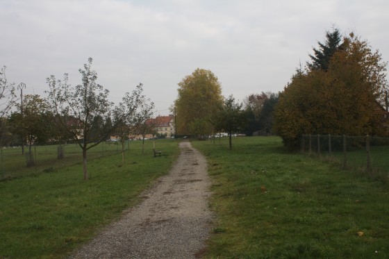 Allée piétonnière (Morsbronn les Bains)