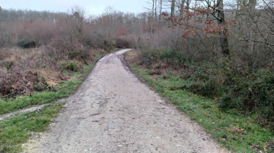 All&eacute;e venant de M&eacute;renvielle