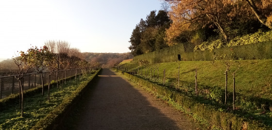 Allée