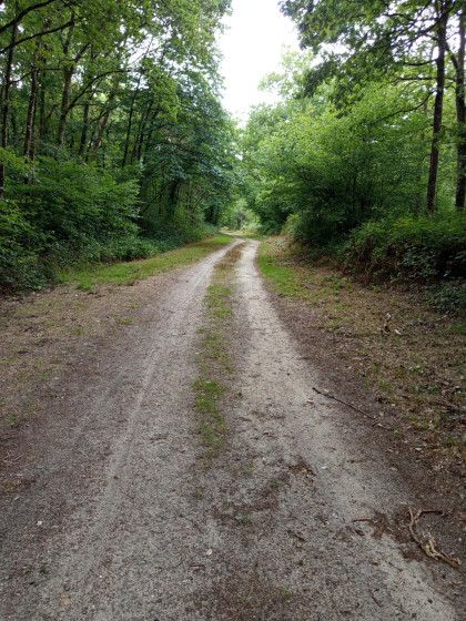 All&eacute;e