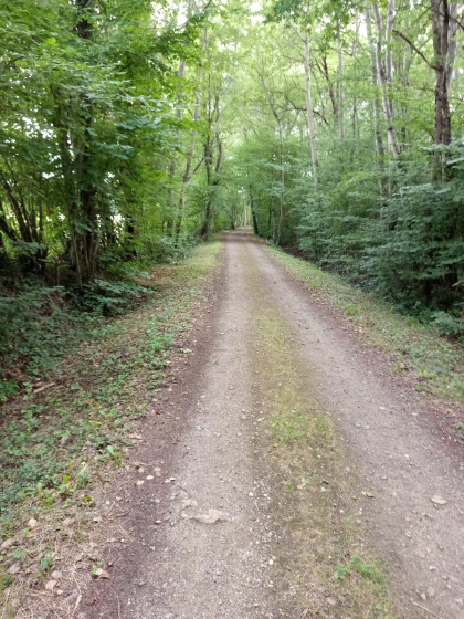 Allée
