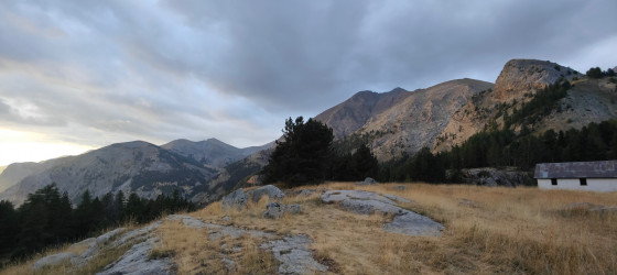 Allos 24