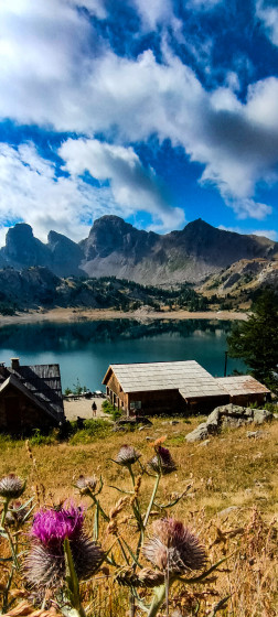 Allos 36