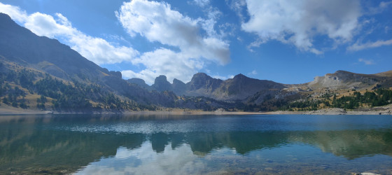 Allos 39