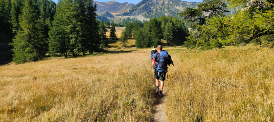 Allos 41