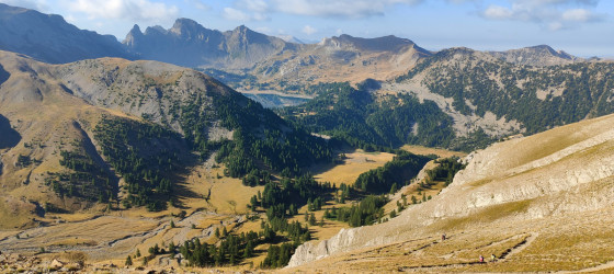 Allos 42