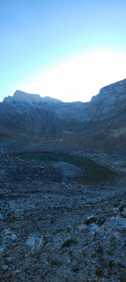 Allos 43