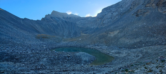 Allos 44