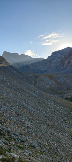 Allos 45