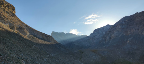 Allos 46