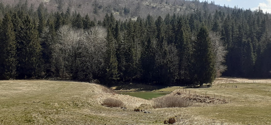 Aloage et lac du Mariet, Arith