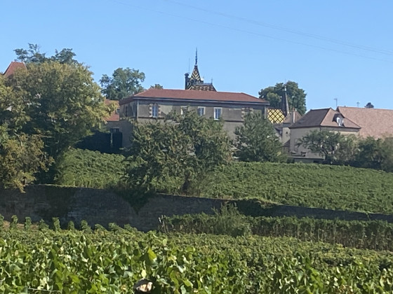 Aloxe-Corton