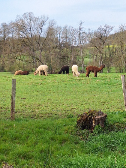 A faire Autour d'AveetAuffe Randonnée