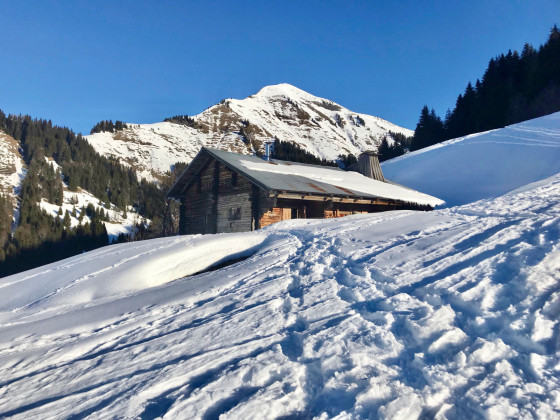 Alpage de la Tourste