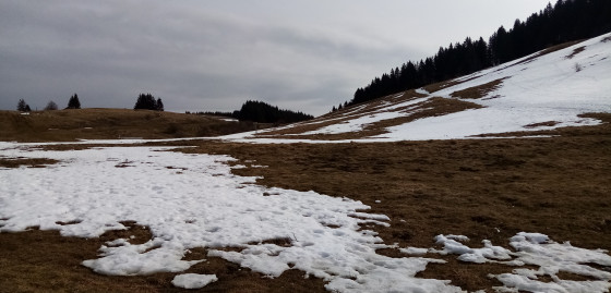 Alpage de Très-le-Mont