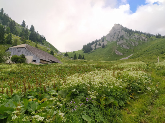 Alpage et chalets de Resse.
