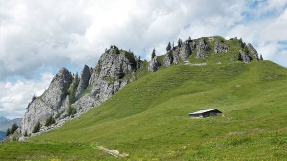 Alpage