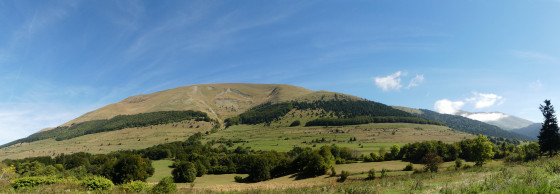 Alpage