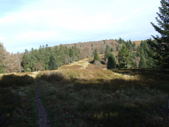 Alpages du Grand Ventron