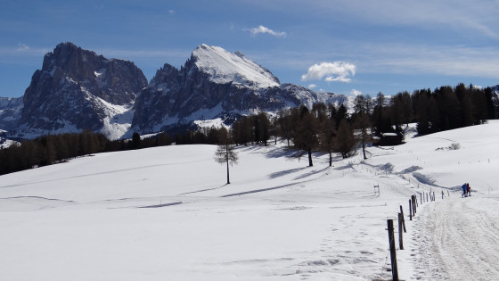 Alpe di Siusi