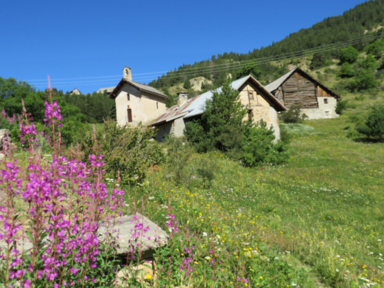 Alpe du Pied