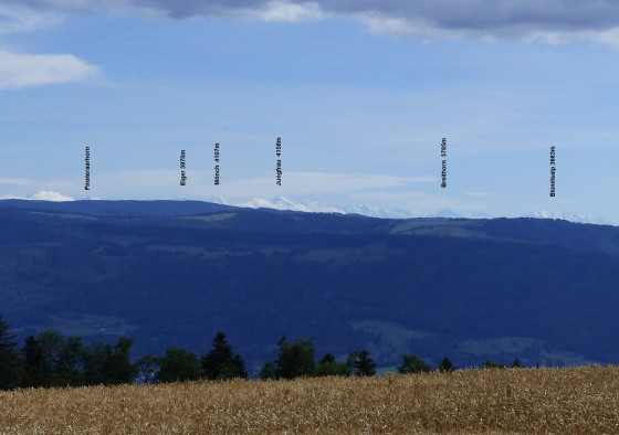 Alpes bernoises vues du sommet des Ordons.