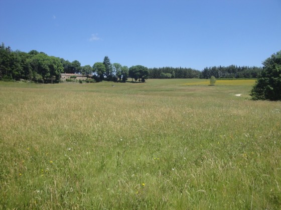 Alternance de pré et de forêt