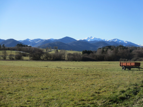 Ambiance pastorale