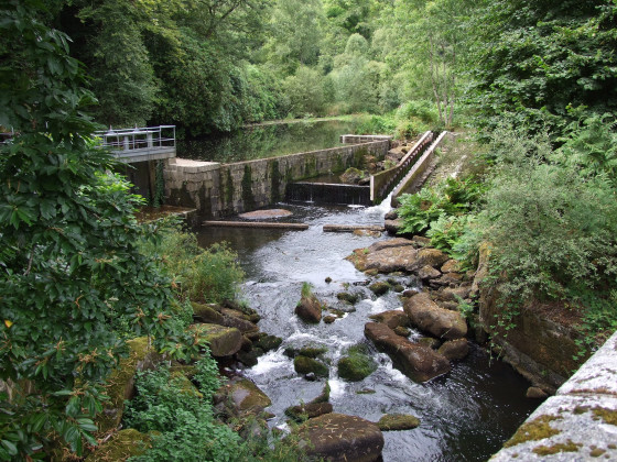 Am&eacute;nageemnt de la rivi&egrave;re
