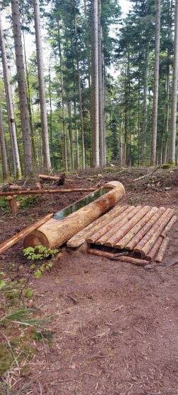 Am&eacute;nagement &agrave; la source de la Climontaine
