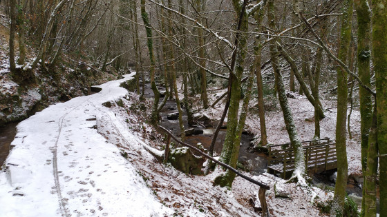 Amont du canal des Moines