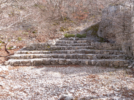 Amphithéâtre