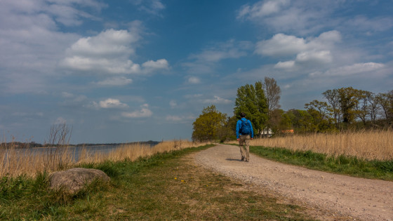 Au bord de la Schlei